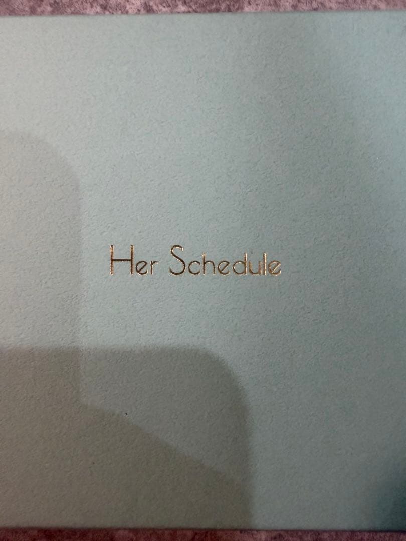 HerScheduleグレー レザー スマホショルダーバッグ