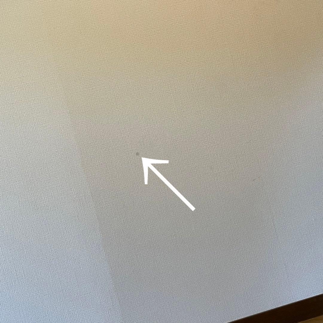 【ヴィンテージ】✴︎特大ラタンの壁掛けミラー✴︎