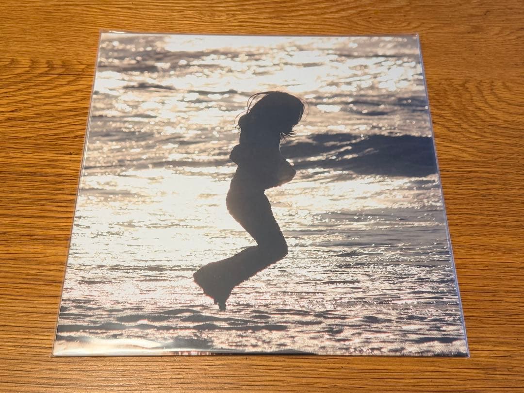 踊ってばかりの国　On the shore LPレコード