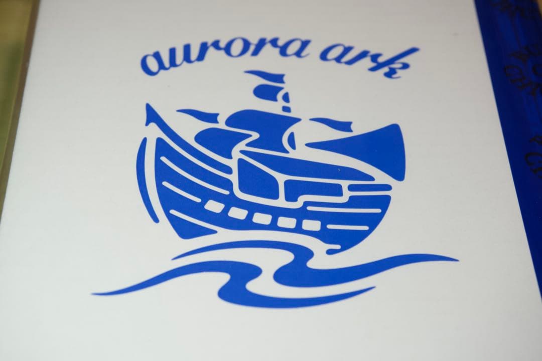 初回限定盤BUMP OF CHICKEN TOUR2019 aurora ark