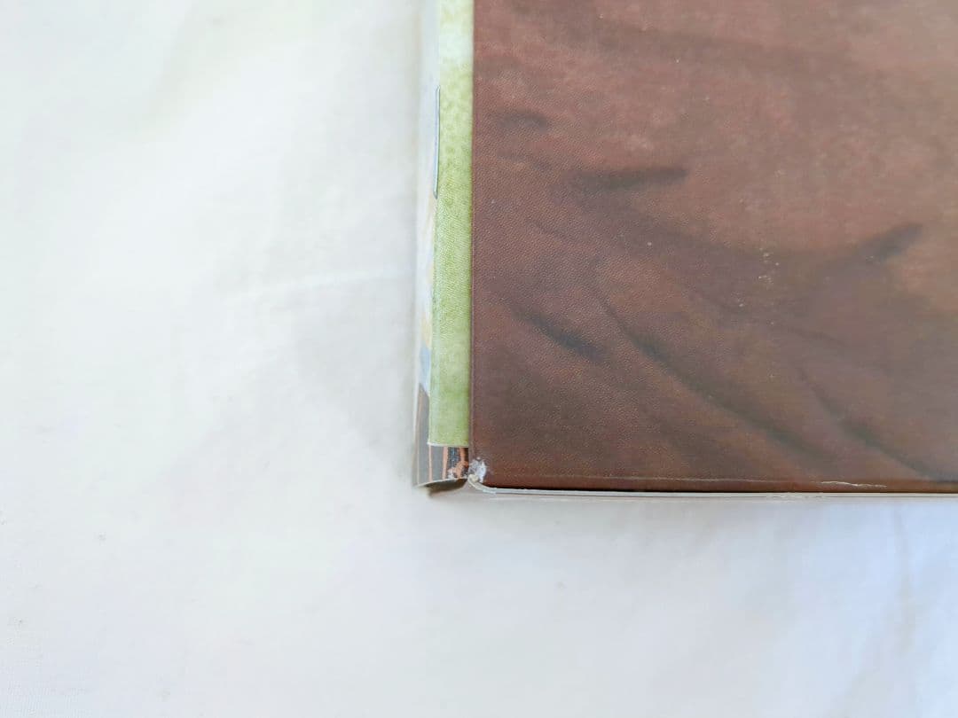 DVD-BOX　百鬼夜行抄　ドラマ