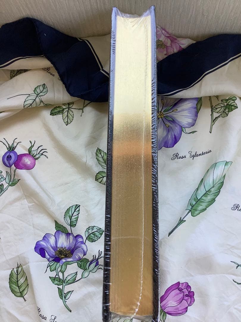 ドラキュラ　Doracula - Bram Stoker