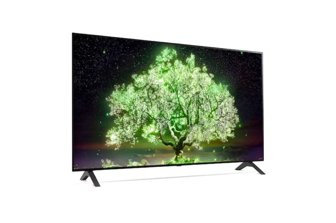 LG OLED48A1PJA 48インチ テレビ 本体