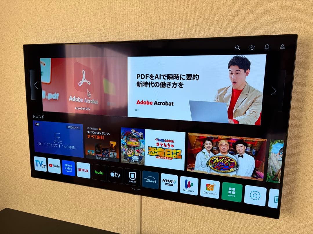 LG OLED48A1PJA 48インチ テレビ 本体