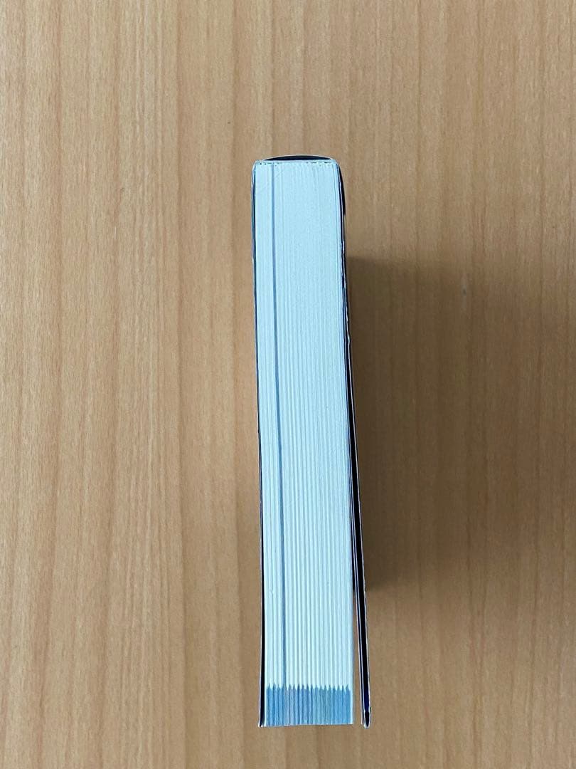 ミード ガンダム MEAD GUNGAM 本 中古　復刻版 美品