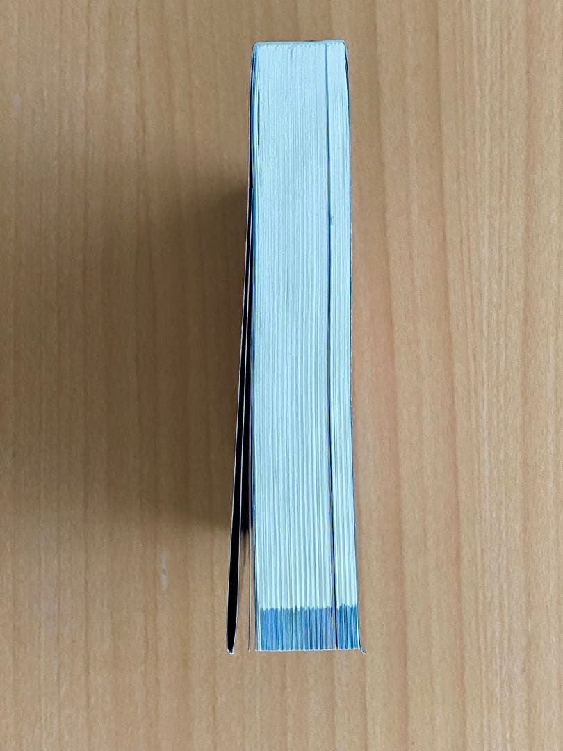 ミード ガンダム MEAD GUNGAM 本 中古　復刻版 美品