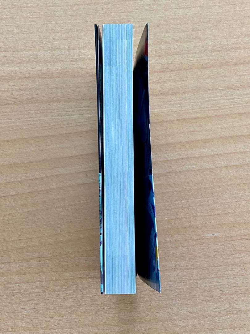 ミード ガンダム MEAD GUNGAM 本 中古　復刻版 美品