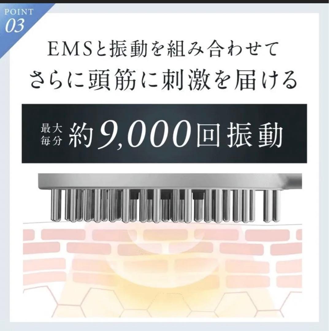 ニップラックスEMS 頭皮＆フェイス リフトケアブラシ NP-ELB23SV