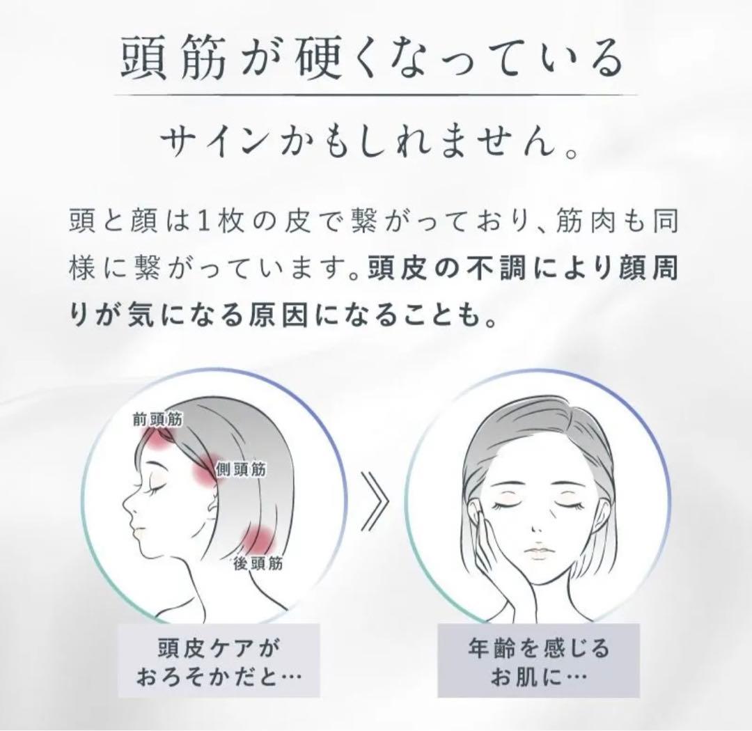 ニップラックスEMS 頭皮＆フェイス リフトケアブラシ NP-ELB23SV