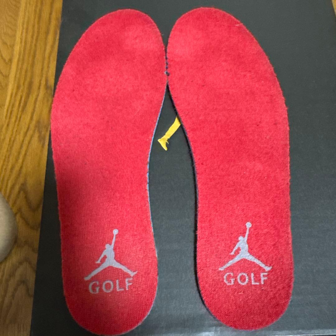 JORDAN Ⅳ G ゴルフシューズ　26.5cm