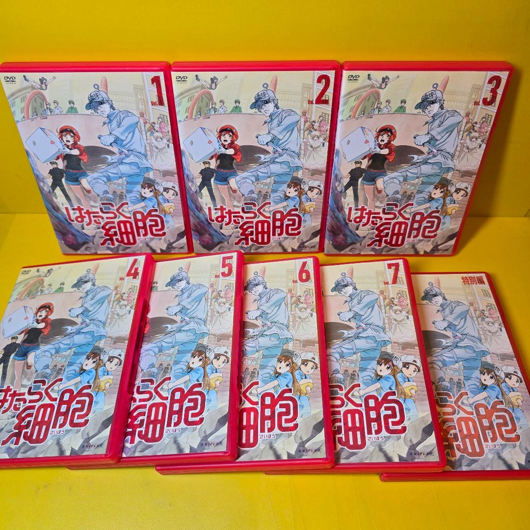 新品ケース交換済み　はたらく細胞　DVD シリーズ　全19巻セット