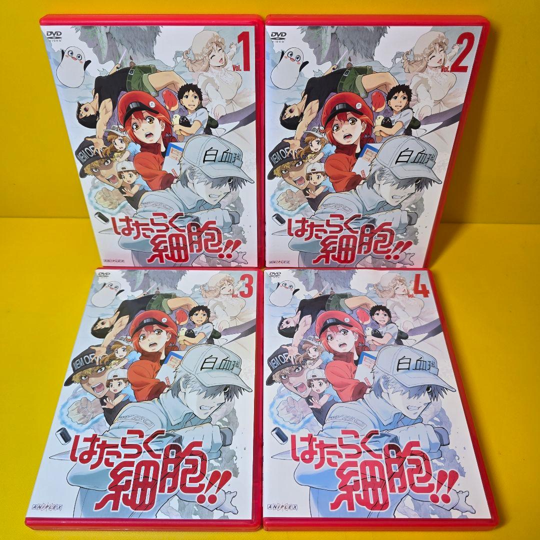 新品ケース交換済み　はたらく細胞　DVD シリーズ　全19巻セット