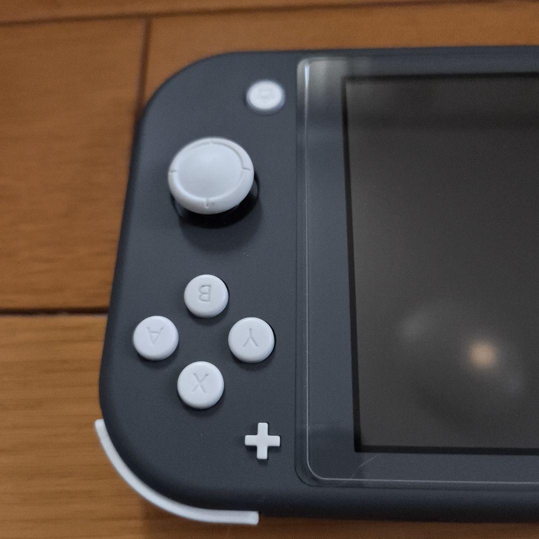 Nintendo Switch Lite 箱 充電器 ソフト ケース付き