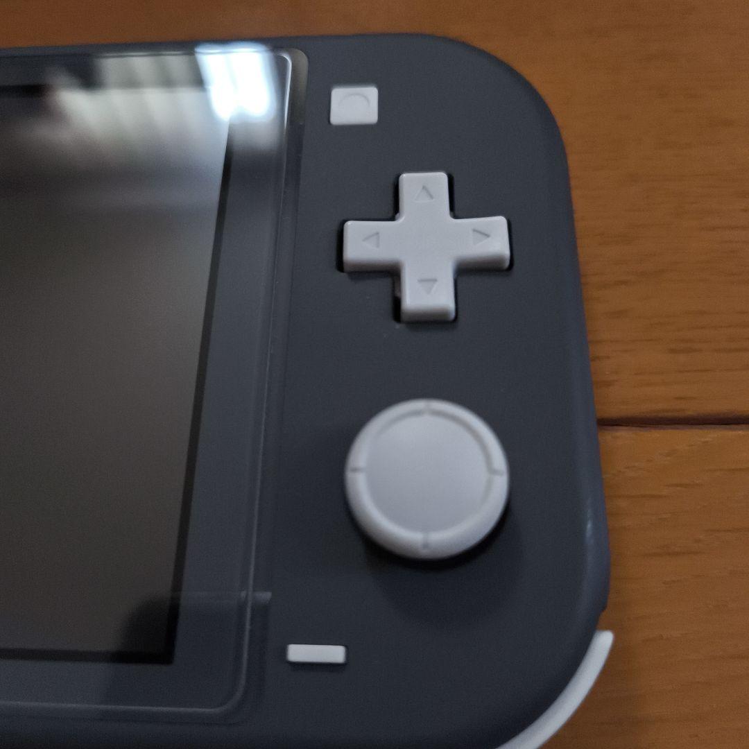 Nintendo Switch Lite 箱 充電器 ソフト ケース付き