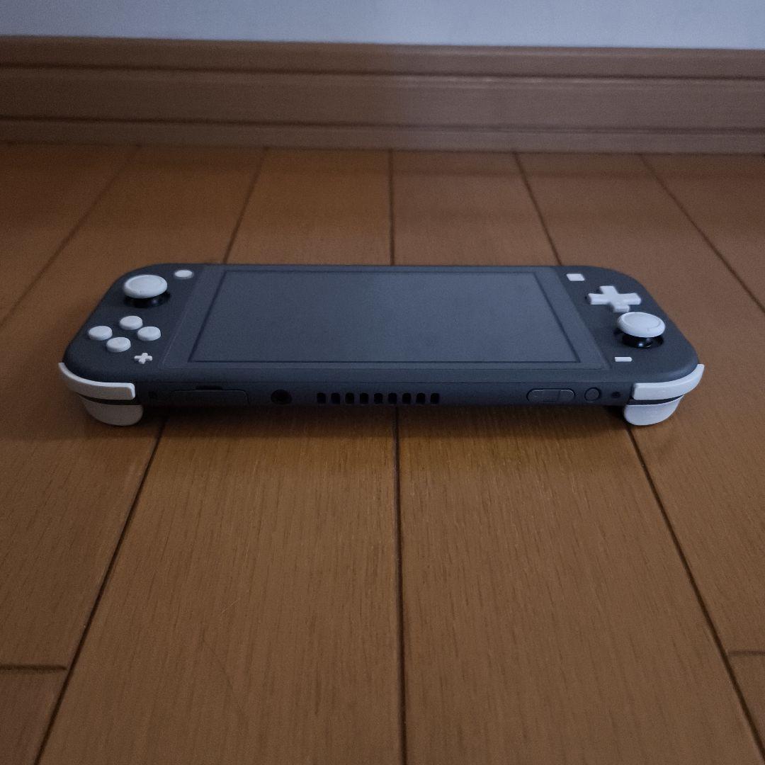 Nintendo Switch Lite 箱 充電器 ソフト ケース付き