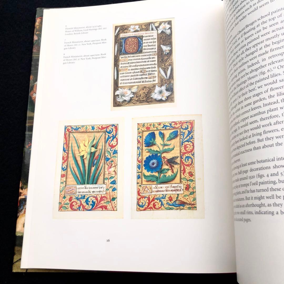 17世紀 花卉画 画集 17th-century Flower Painting