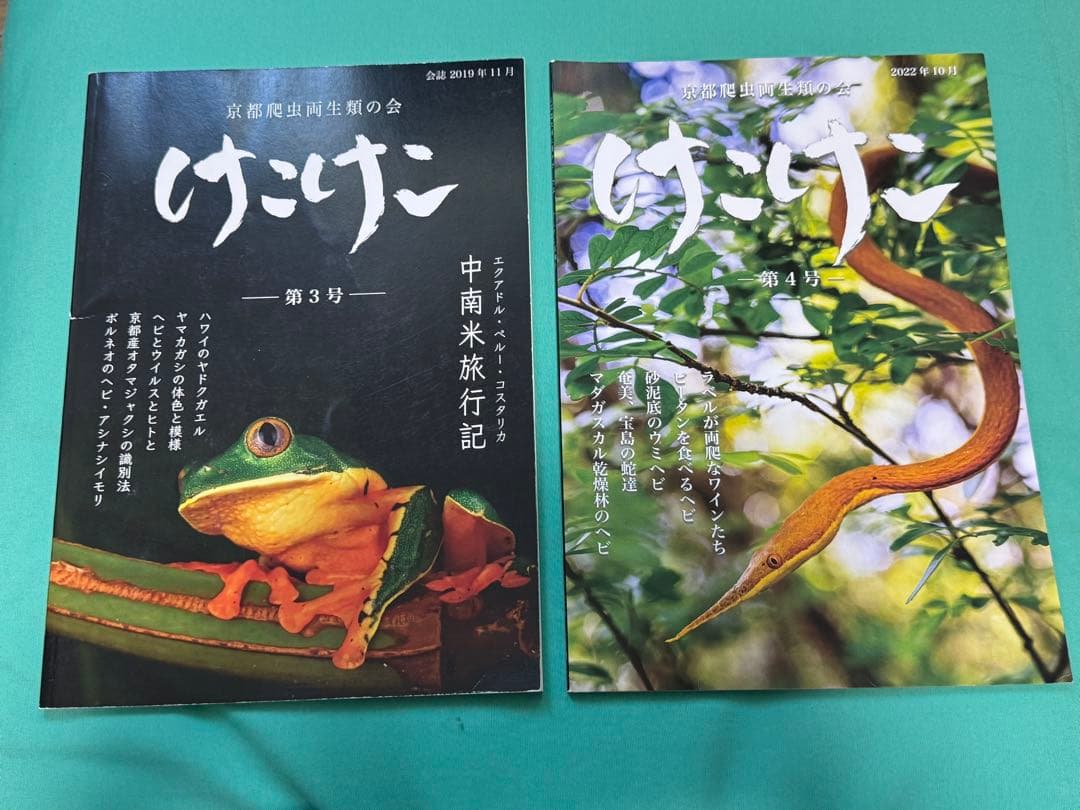 けこけこ Caudata セット(バラ売り不可)