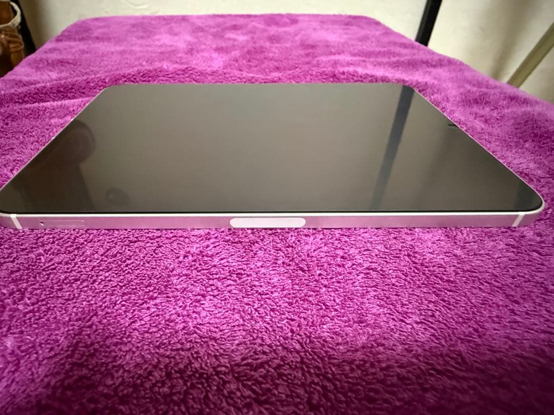 iPad mini 6世代Cellularモデル　64GB 本体のみ＋おまけ