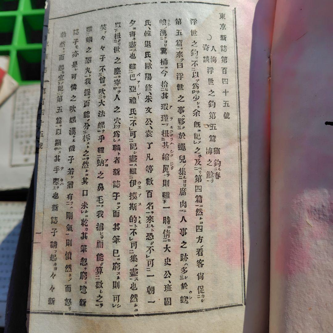 【明治時代 初期 雑誌】東京新誌 まとめ