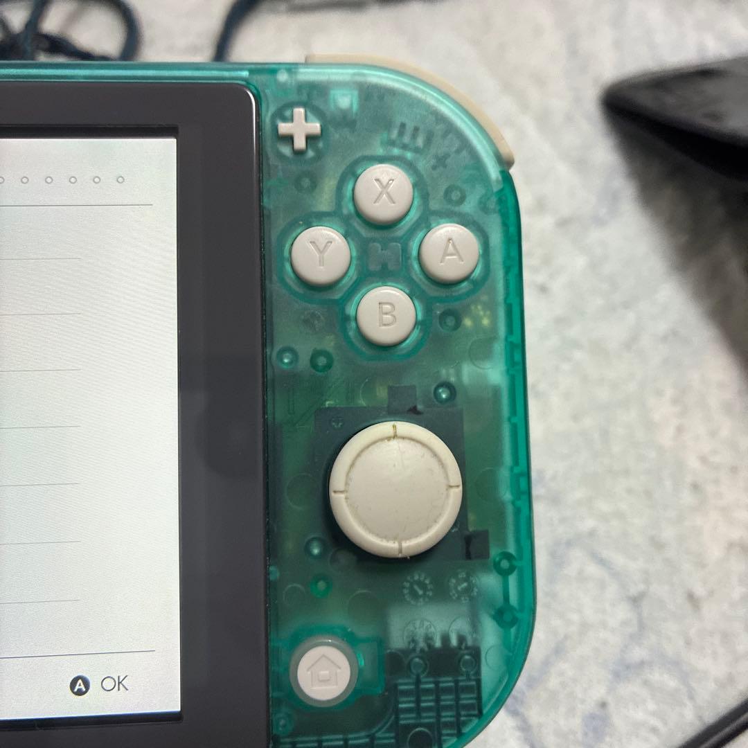 Nintendo Switch Lite カスタム