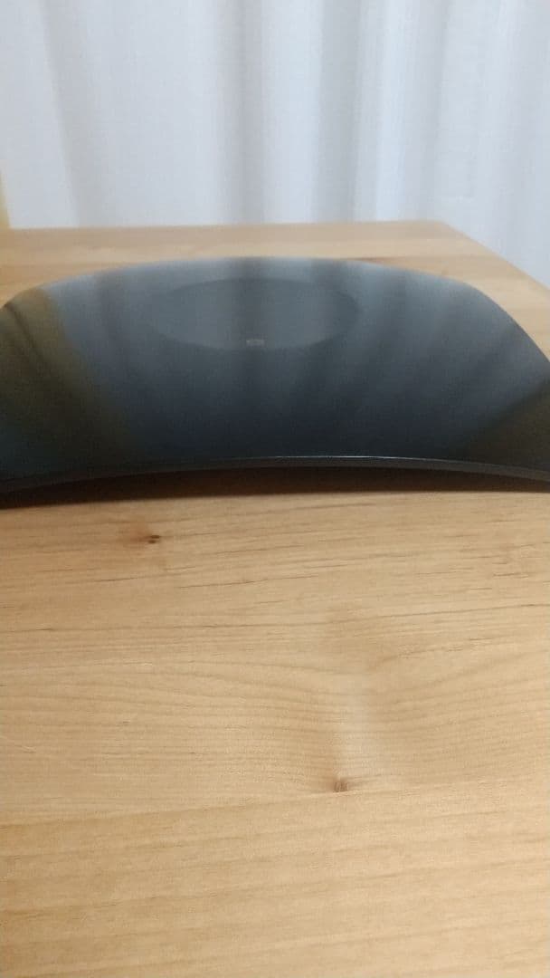 新品未使用 宮内庁御用達 漆器 山田平安堂 龍牙 プレート(大)