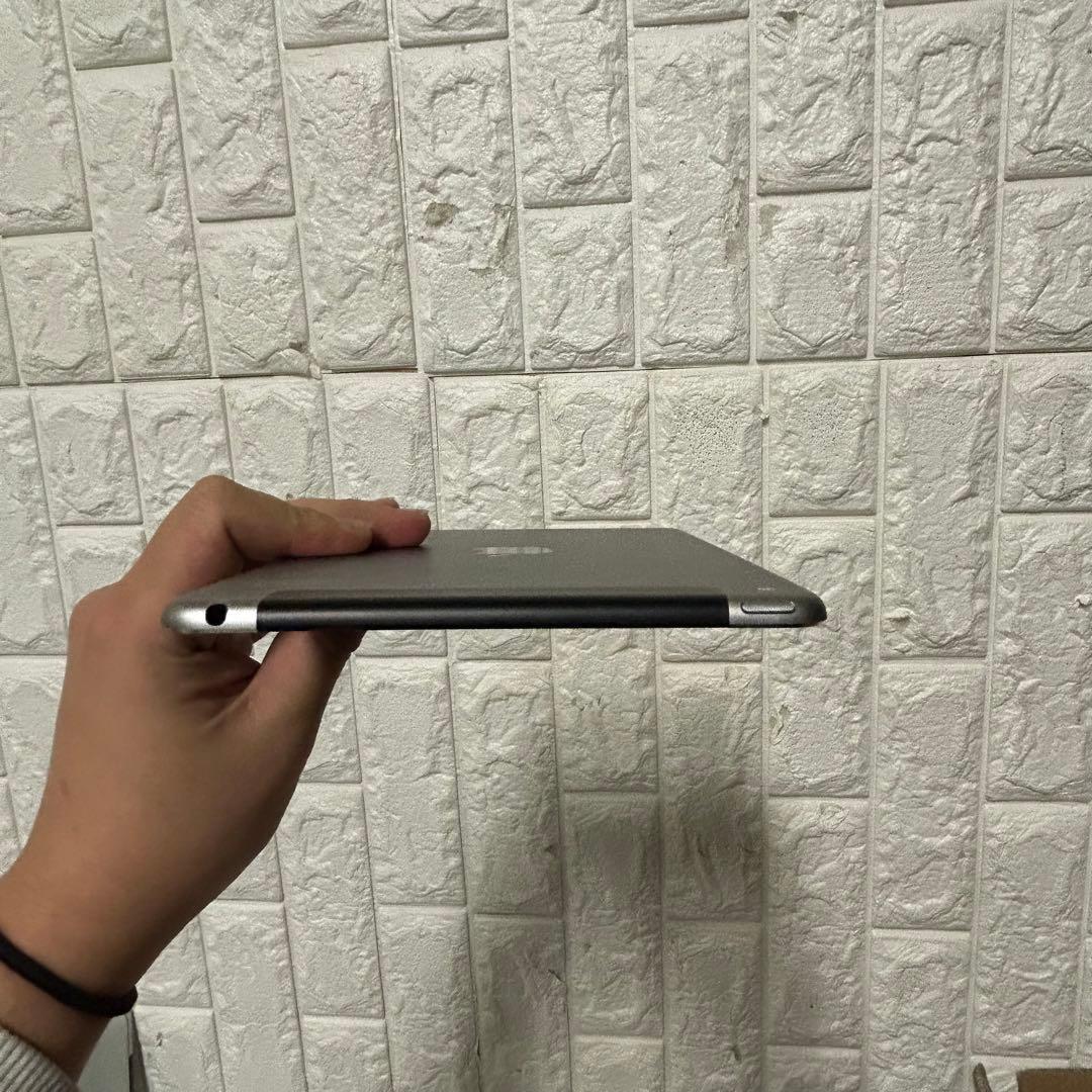 Apple iPad mini4 容量64GB