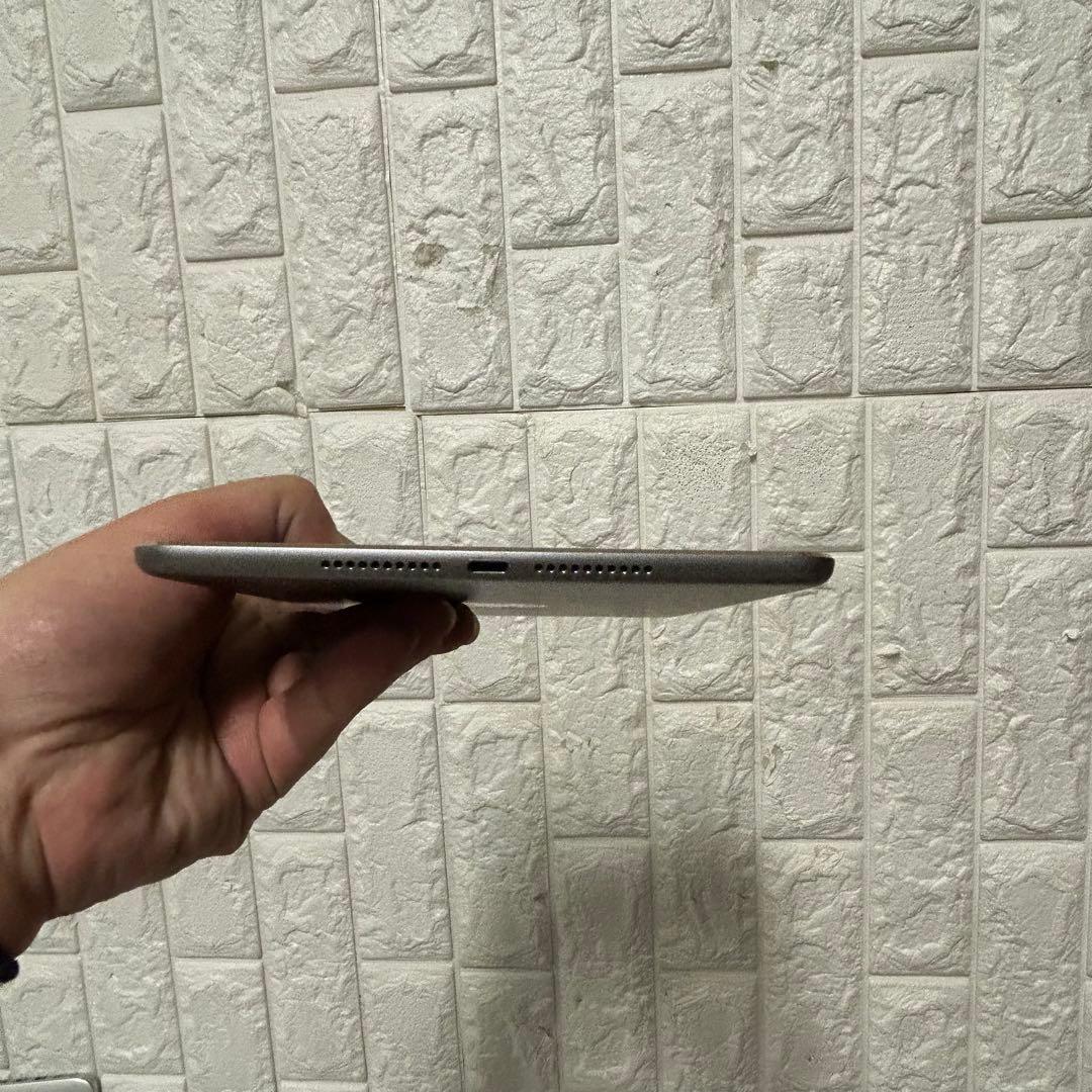 Apple iPad mini4 容量64GB