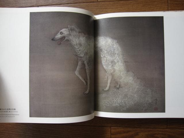 増補新装版 松井冬子 画集 世界中の子と友達になれる　限定1000部