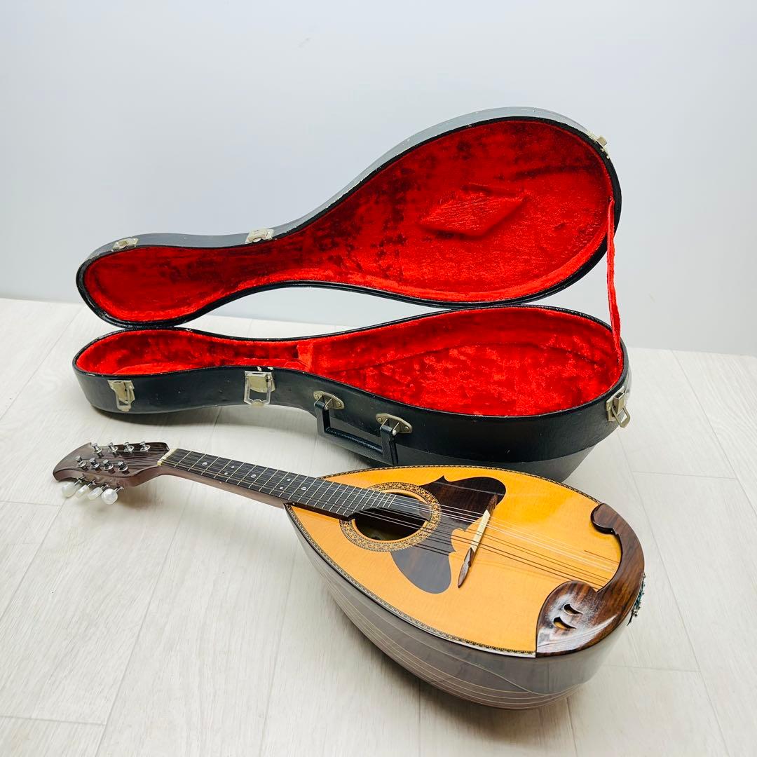 SUZUKI マンドリン　M-218