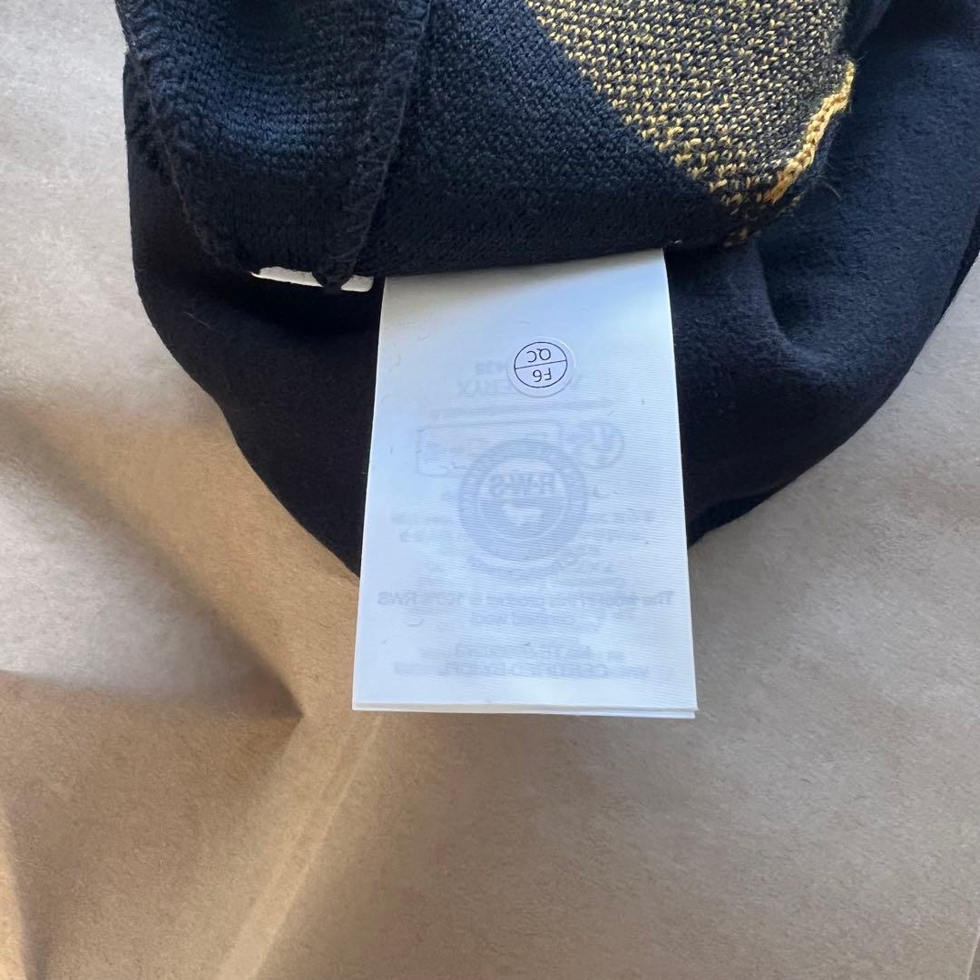 新品未使用　タグ付き　アークテリクス　Bird Head Toque ビーニー