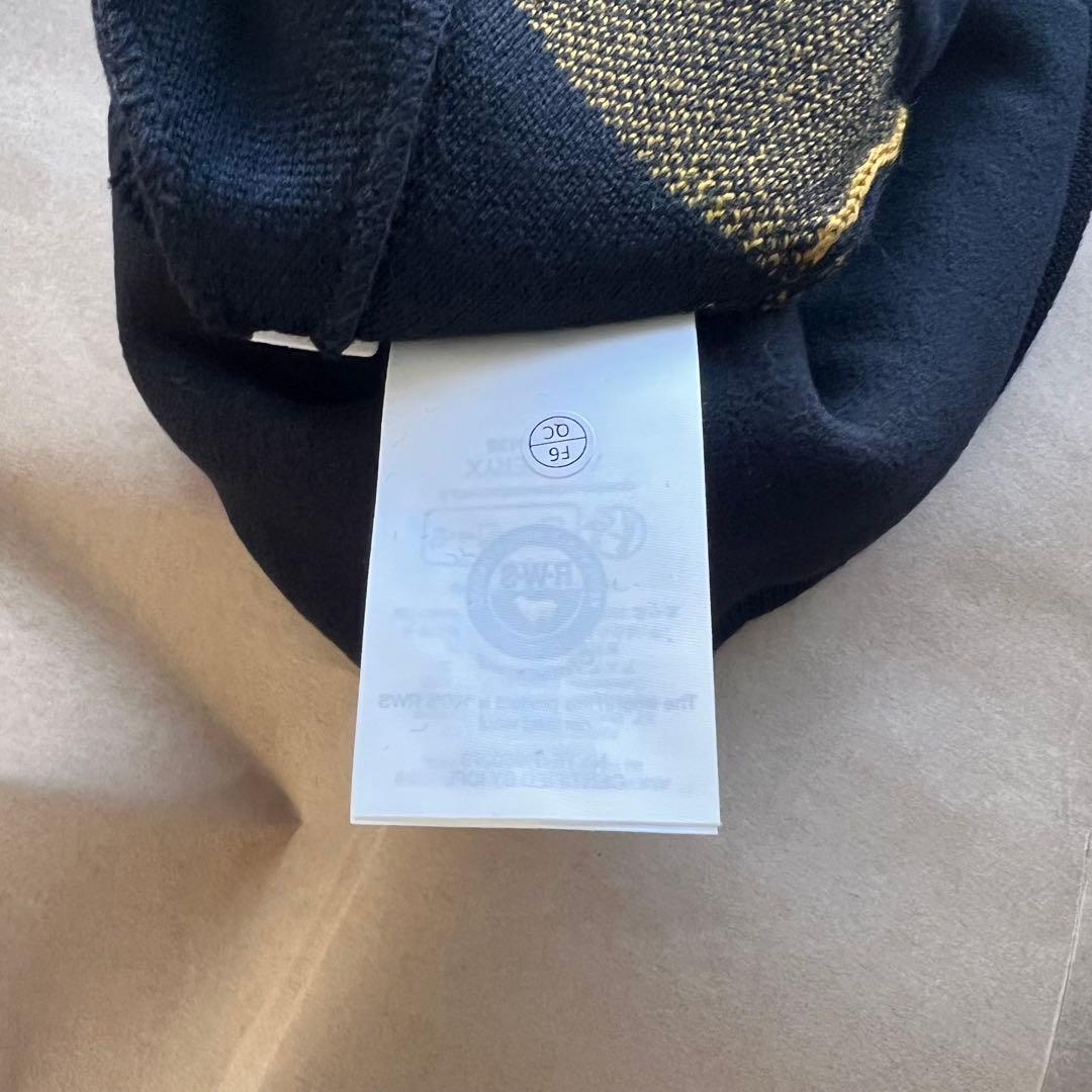 新品未使用　タグ付き　アークテリクス　Bird Head Toque ビーニー