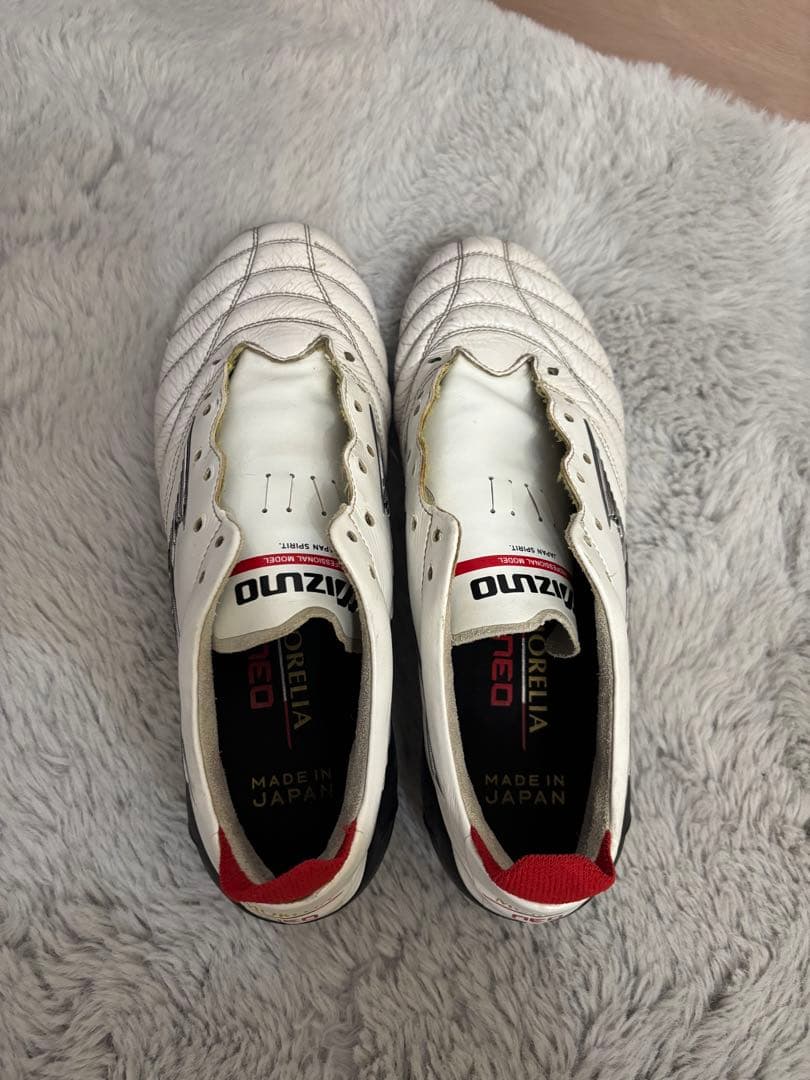 Mizuno モレリアNEO4