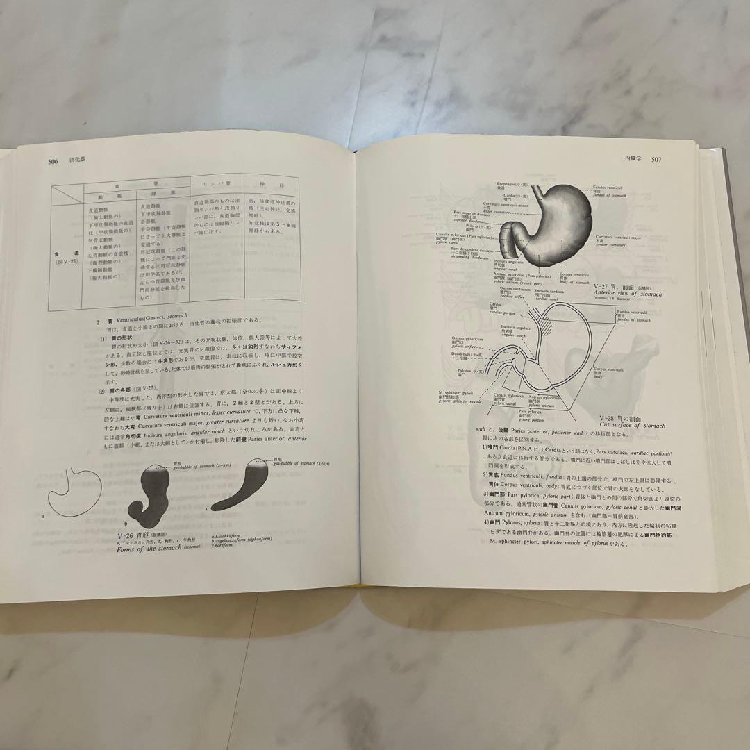 新版 岡嶋解剖学