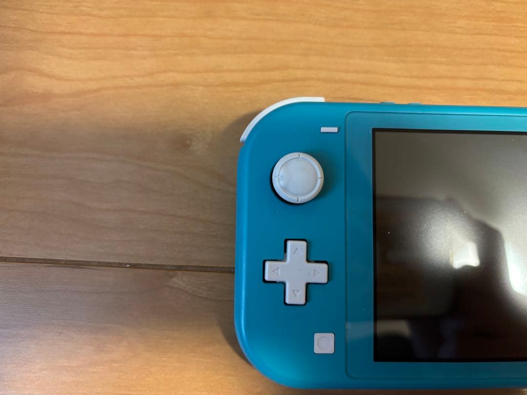 R*i様 【初期化済み】Nintendo Switch ライト 本体のみ ターコ