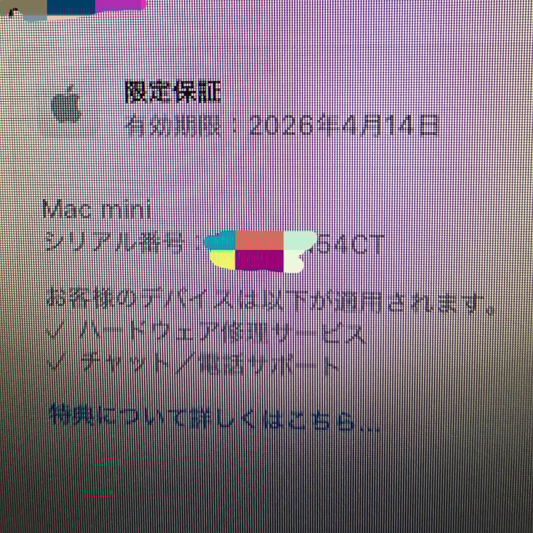 Mac mini M4 256GB 16GB美品 2026年4月14日保証有り