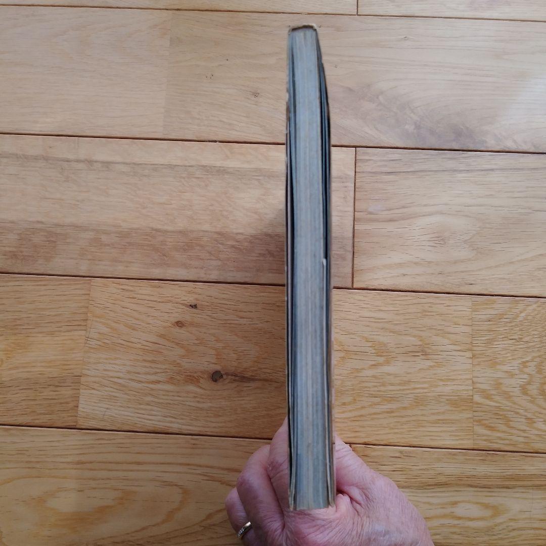 深瀬昌久　サスケ!いとしき猫よ