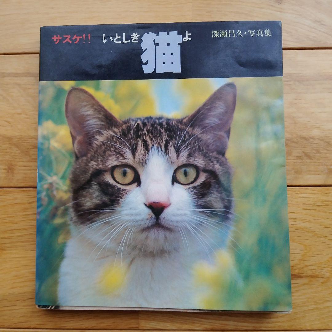 深瀬昌久　サスケ!いとしき猫よ