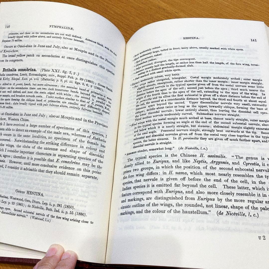 洋書 Butterflies from China, Japan, and Corea