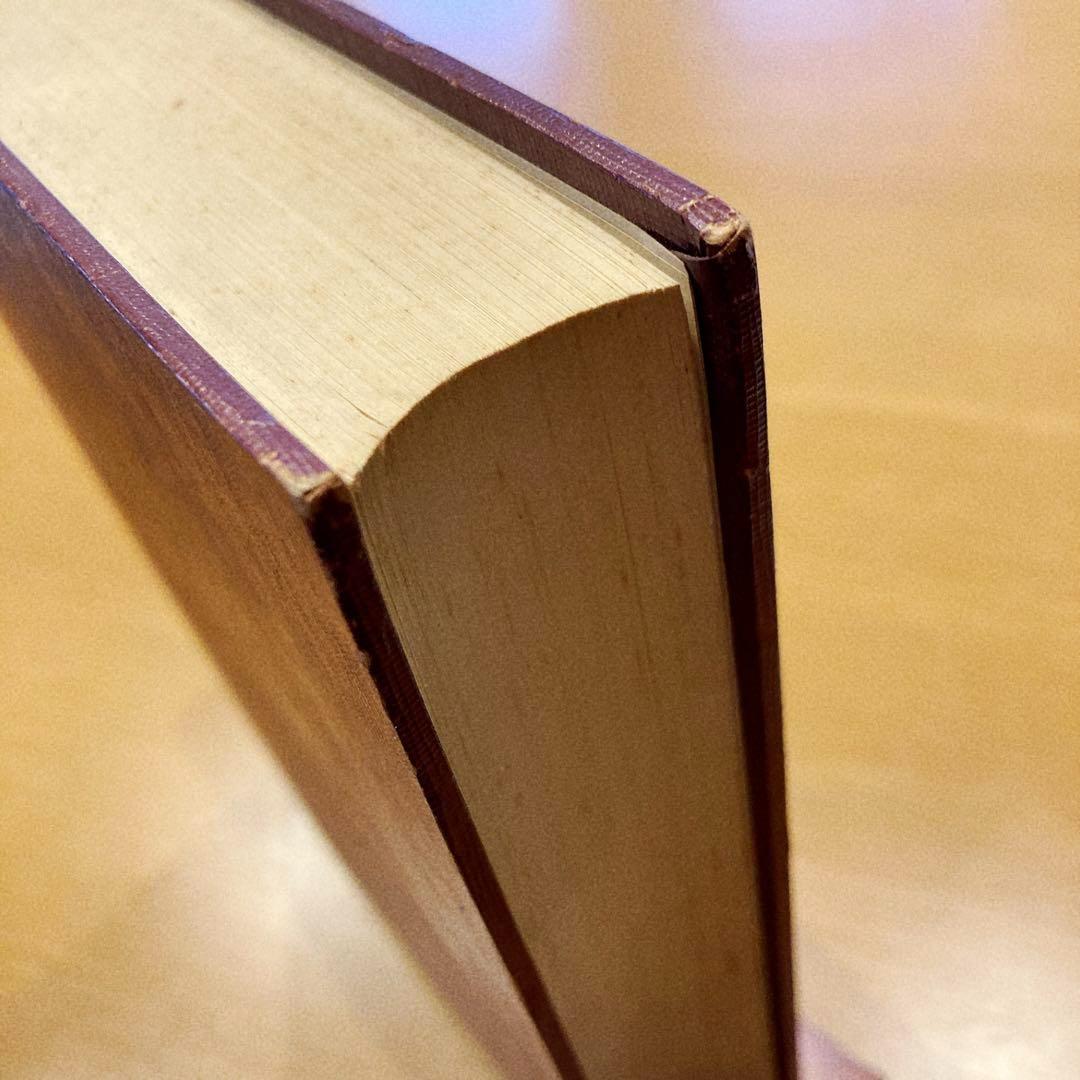 洋書 Butterflies from China, Japan, and Corea