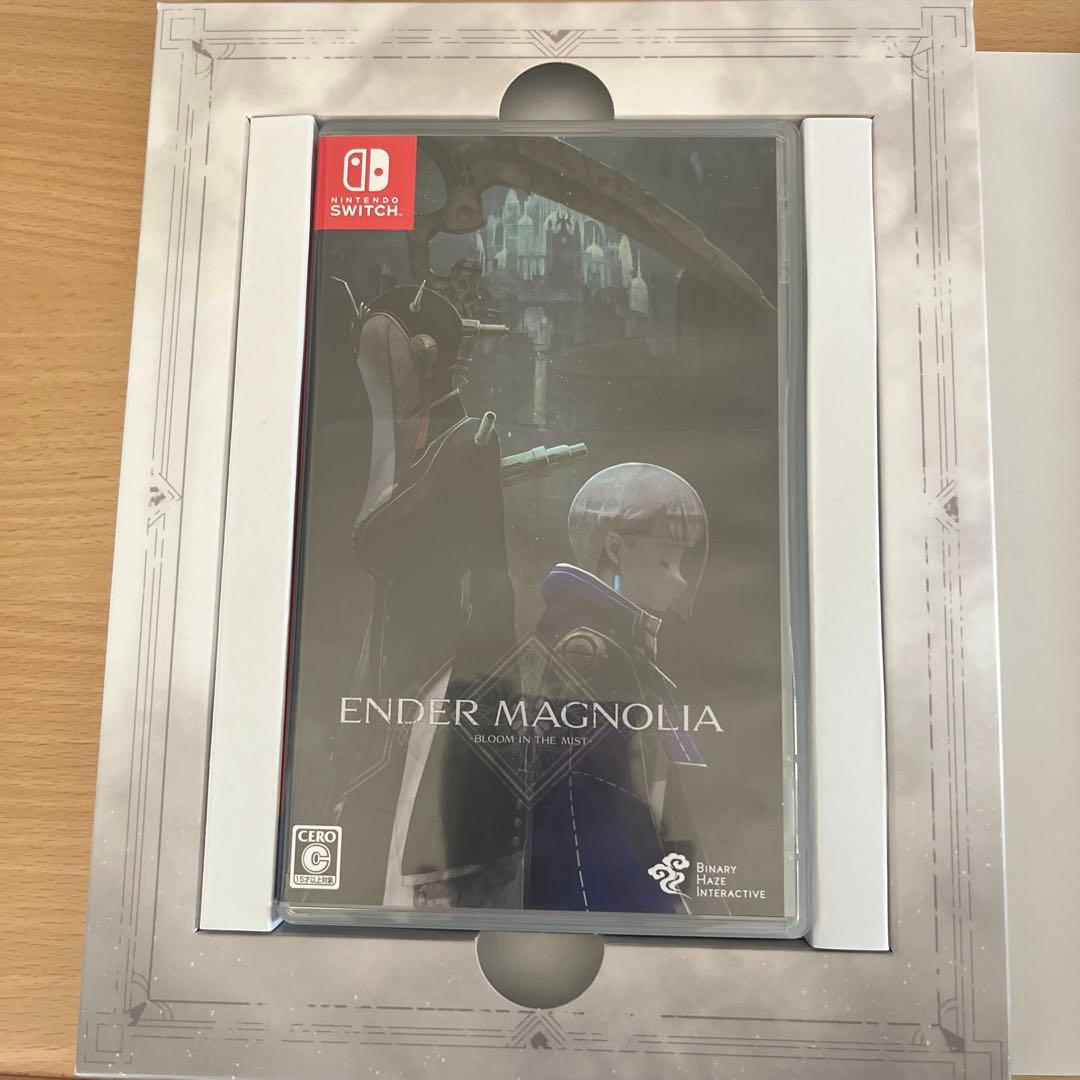 ENDER MAGNOLIA スイッチ