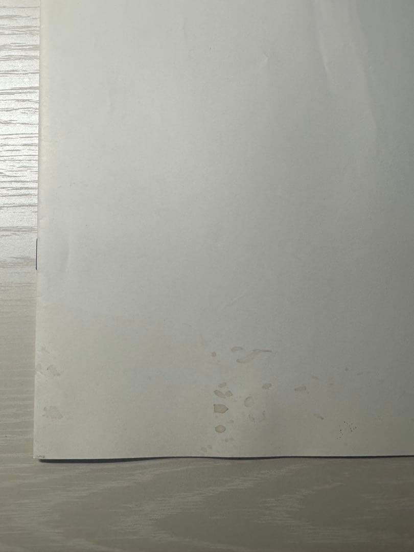 希少カタログ tricot COMME des GARCONS No.12