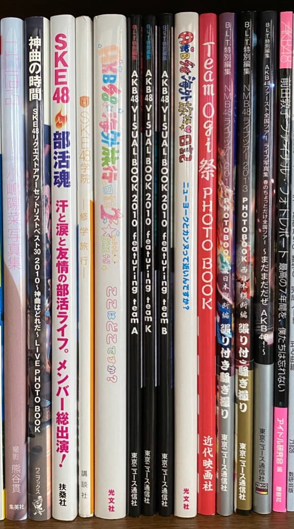 AKB48グループ関連　書籍　多数　セット販売