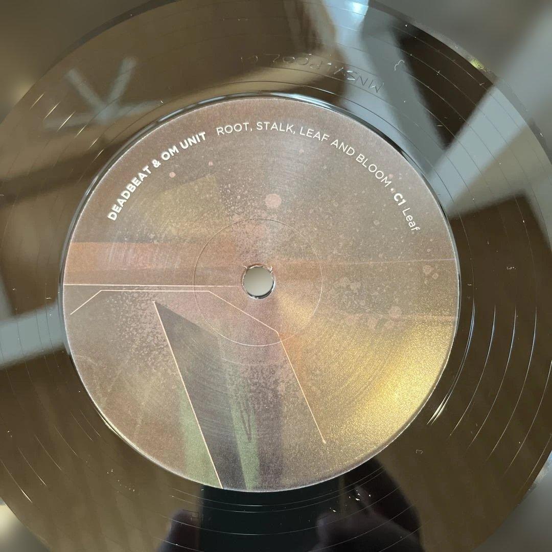 洋楽 DEADBEAT & OM UNIT ROOT, STALK, LEAF AND