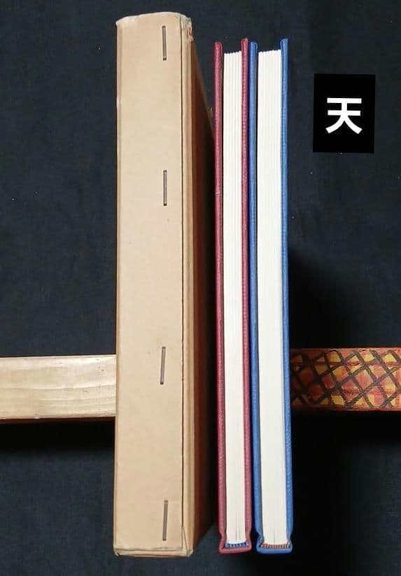 値下げ　絶版【昭和59年初版】桶谷式乳房管理法理論編　総論・各論　桶谷そとみ