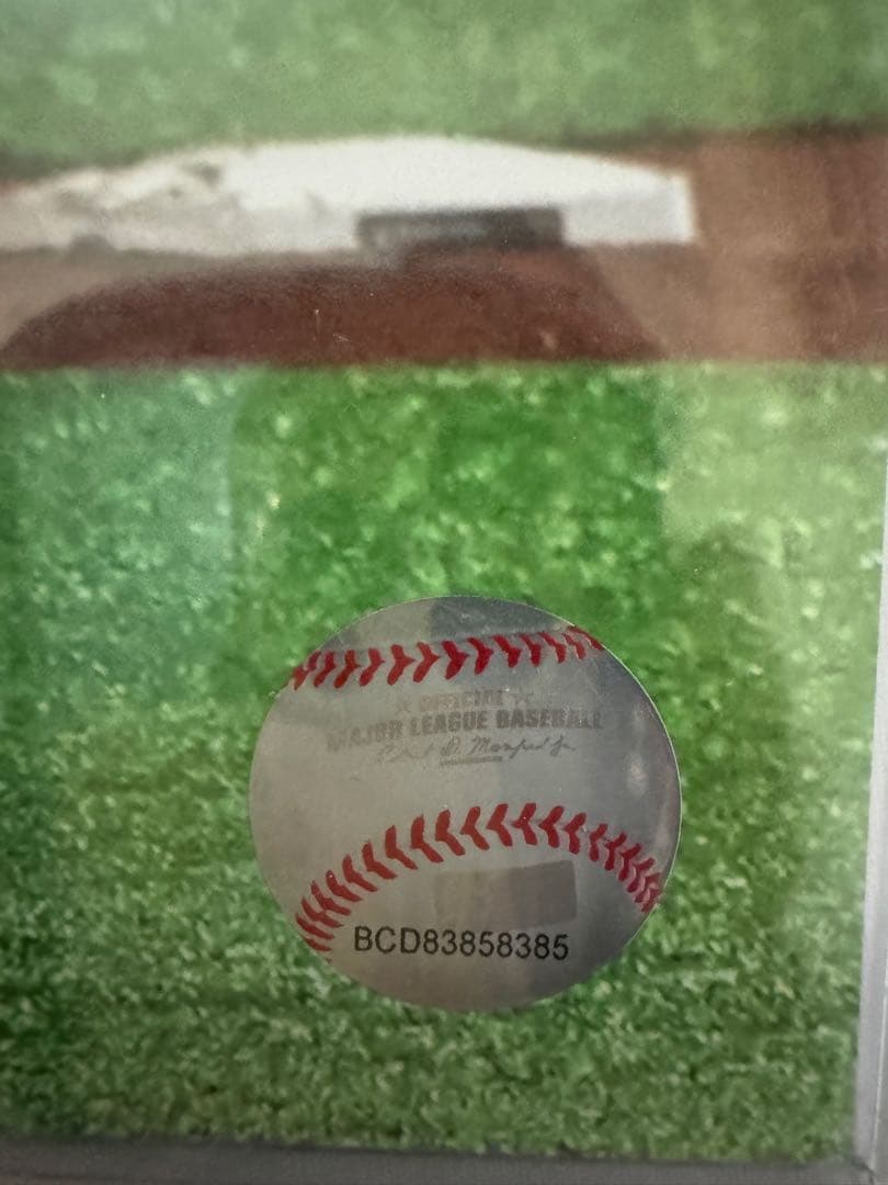 2019年　イチロー引退試合　ラミプレート