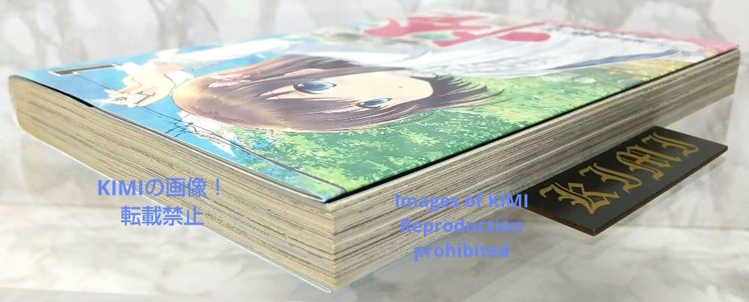 初版 怜 Toki 1 コミック 漫画 本 2016 小林 立,めきめき ビッグ