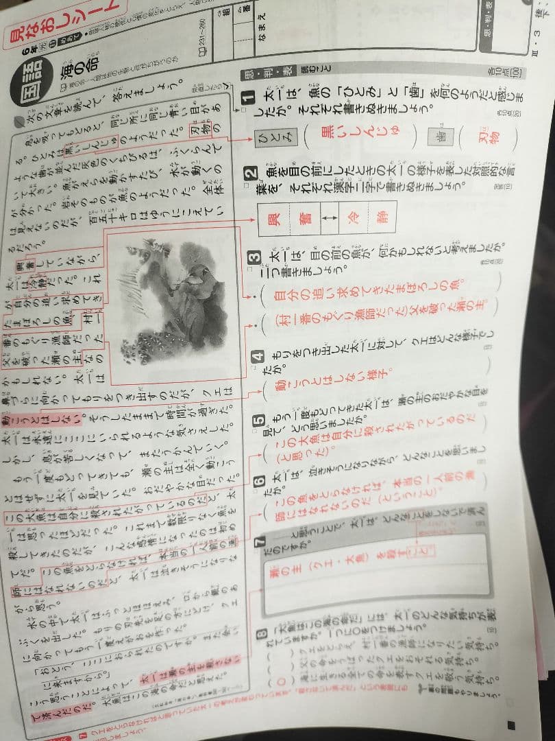 専用　小6　算数　国語　理科　令和6年度　カラーテスト答え見なおしシート　新学社