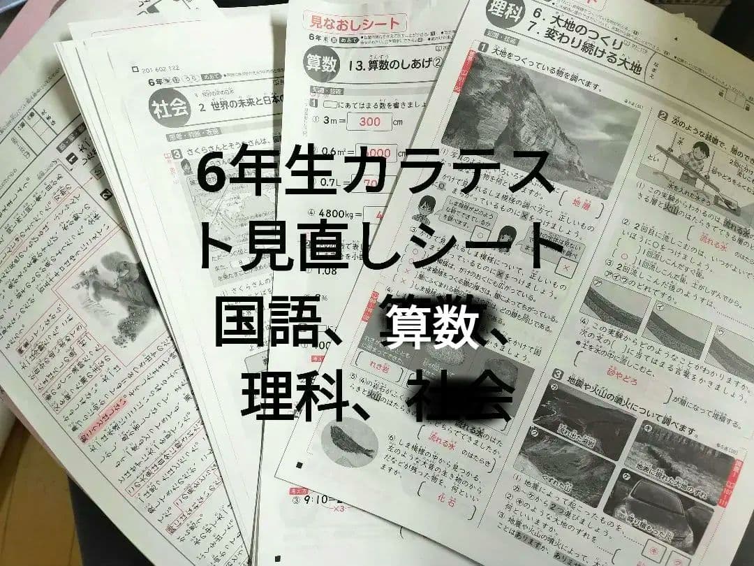 専用　小6　算数　国語　理科　令和6年度　カラーテスト答え見なおしシート　新学社