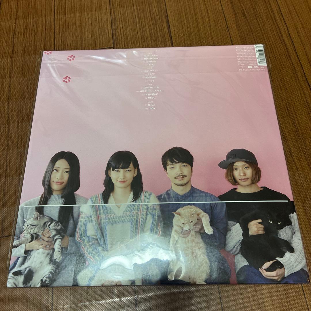 新品⭐︎きのこ帝国 猫とアレルギー アナログ LP レコード