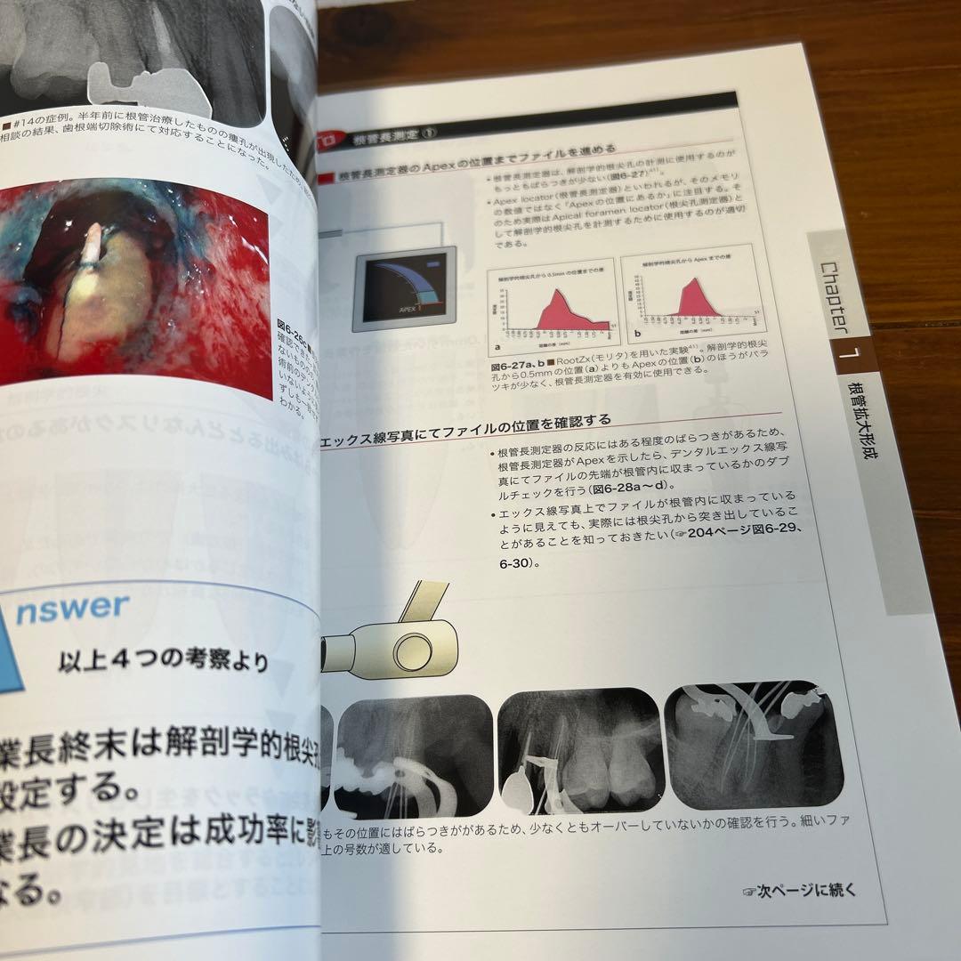 ビジュアル歯内療法学　生物学的コンセプトとテクニックのすべて
